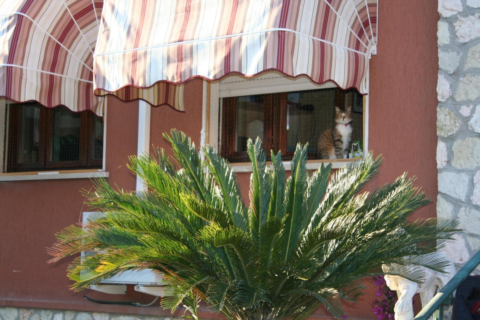 B&B Desenzano Desenzano del Garda Exterior foto